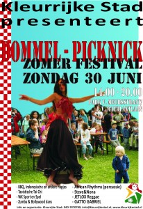 Dommelpicknick 2013 Flyer